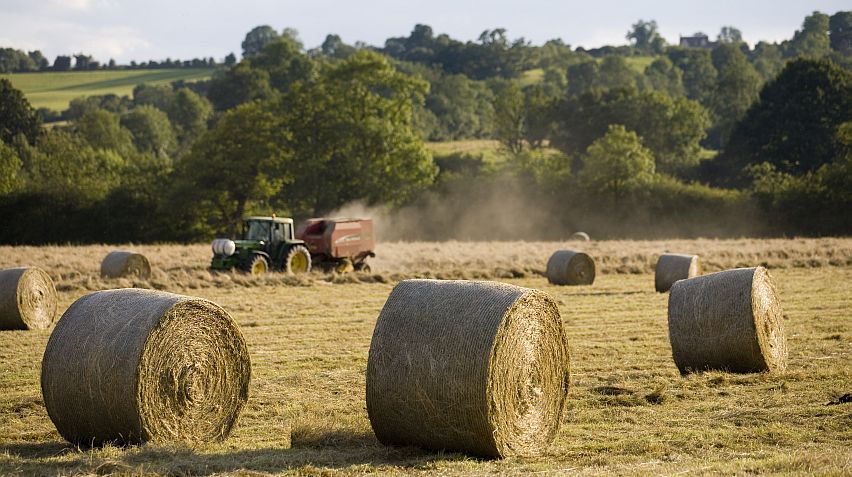 Harvest time: Farming has always been an important part of life in the Cotswolds. Picture by Nick Turner, courtesy Cotswolds Conservation Board.